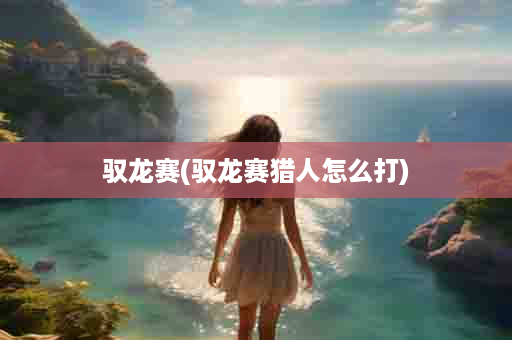 驭龙赛(驭龙赛猎人怎么打)