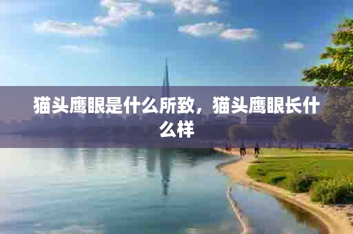 猫头鹰眼是什么所致，猫头鹰眼长什么样