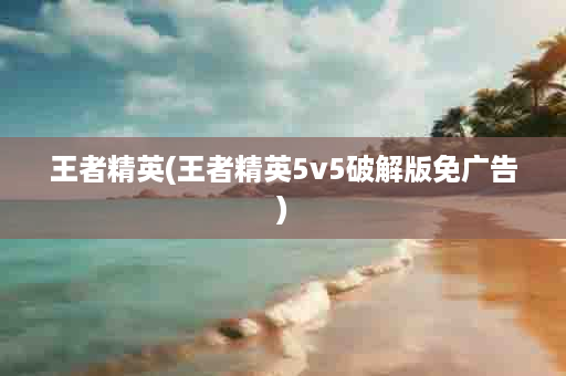 王者精英(王者精英5v5破解版免广告)