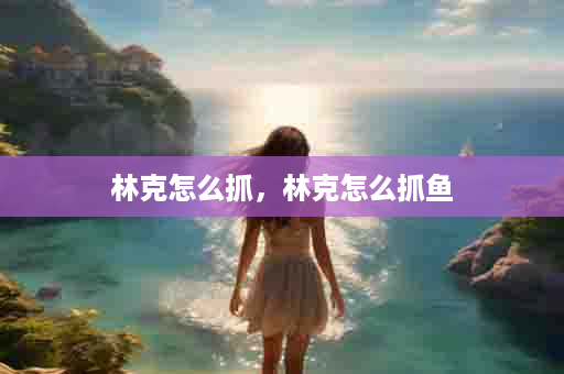 林克怎么抓，林克怎么抓鱼