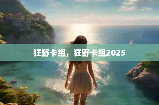 狂野卡组，狂野卡组2025