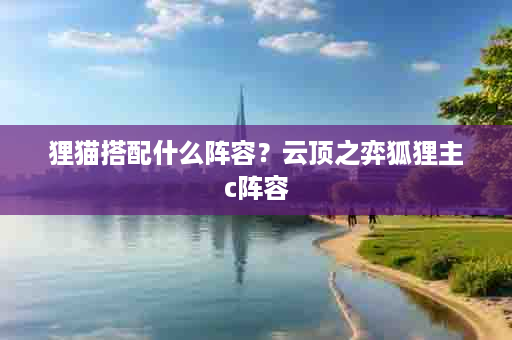 狸猫搭配什么阵容？云顶之弈狐狸主c阵容