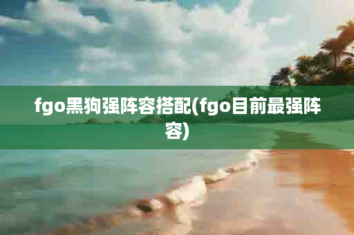 fgo黑狗强阵容搭配(fgo目前最强阵容)