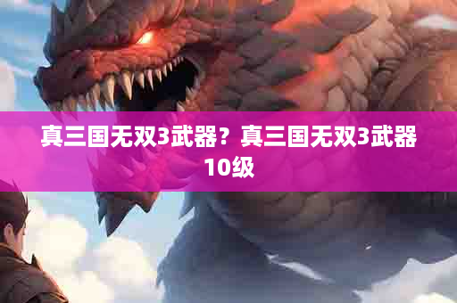 真三国无双3武器？真三国无双3武器10级