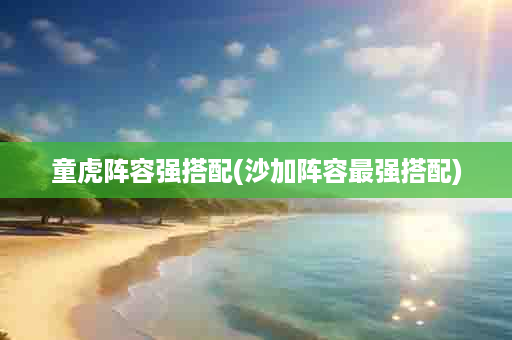 童虎阵容强搭配(沙加阵容最强搭配)