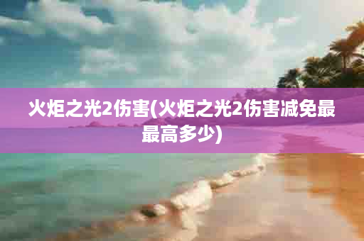 火炬之光2伤害(火炬之光2伤害减免最最高多少)