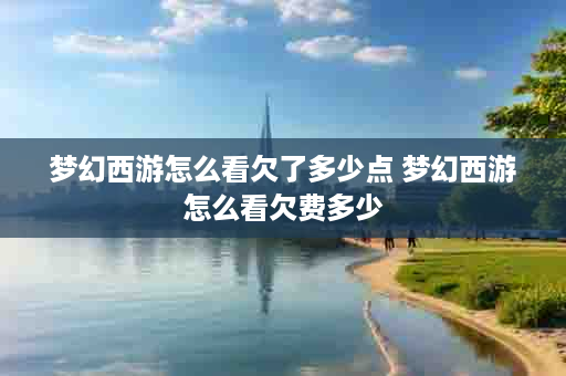 梦幻西游怎么看欠了多少点 梦幻西游怎么看欠费多少