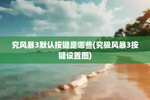 究风暴3默认按键是哪些(究极风暴3按键设置图)