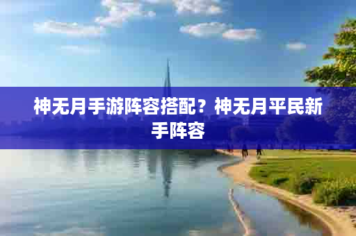 神无月手游阵容搭配？神无月平民新手阵容