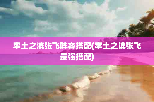 率土之滨张飞阵容搭配(率土之滨张飞最强搭配)