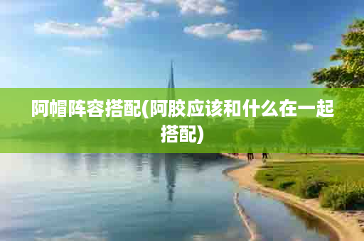 阿帽阵容搭配(阿胶应该和什么在一起搭配)
