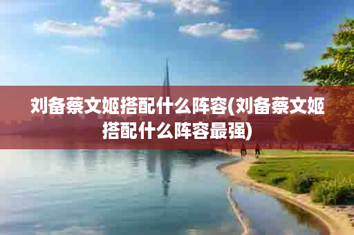 刘备蔡文姬搭配什么阵容(刘备蔡文姬搭配什么阵容最强)