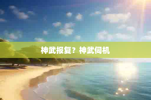 神武报复？神武伺机