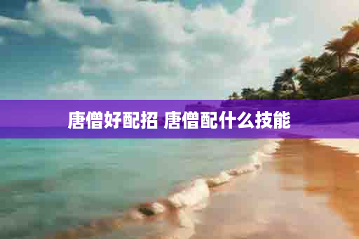 唐僧好配招 唐僧配什么技能