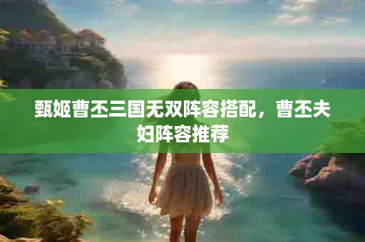 甄姬曹丕三国无双阵容搭配，曹丕夫妇阵容推荐