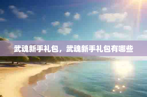 武魂新手礼包，武魂新手礼包有哪些