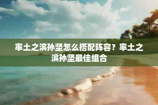率土之滨孙坚怎么搭配阵容？率土之滨孙坚最佳组合