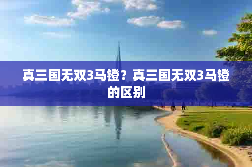 真三国无双3马镫？真三国无双3马镫的区别
