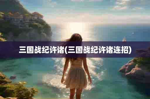 三国战纪许诸(三国战纪许诸连招)