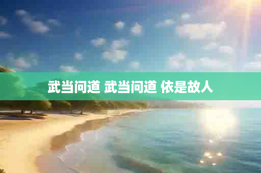 武当问道 武当问道 依是故人