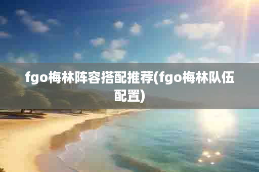 fgo梅林阵容搭配推荐(fgo梅林队伍配置)