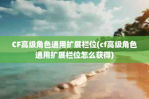 CF高级角色通用扩展栏位(cf高级角色通用扩展栏位怎么获得)
