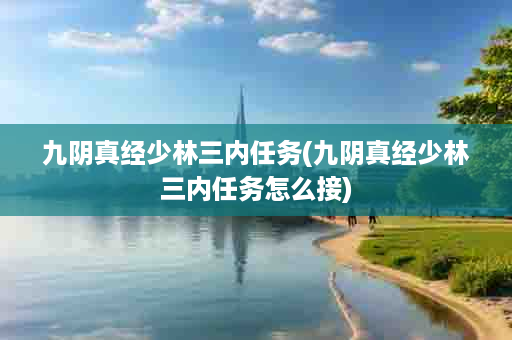 九阴真经少林三内任务(九阴真经少林三内任务怎么接)