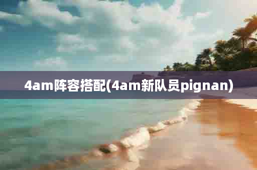 4am阵容搭配(4am新队员pignan)