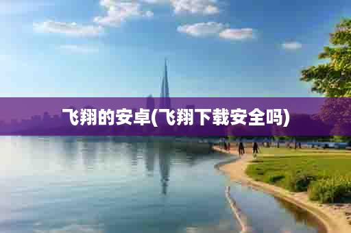 飞翔的安卓(飞翔下载安全吗)