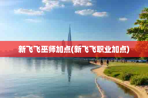 新飞飞巫师加点(新飞飞职业加点)
