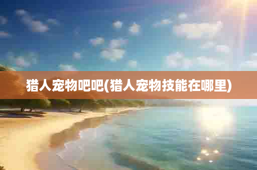 猎人宠物吧吧(猎人宠物技能在哪里)