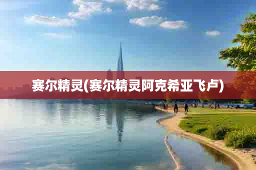 赛尔精灵(赛尔精灵阿克希亚飞卢)