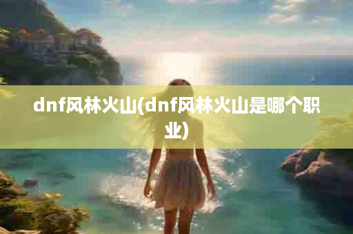 dnf风林火山(dnf风林火山是哪个职业)