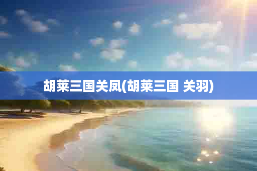 胡莱三国关凤(胡莱三国 关羽)