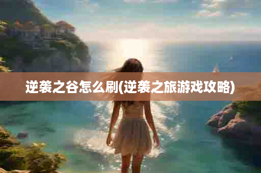 逆袭之谷怎么刷(逆袭之旅游戏攻略)