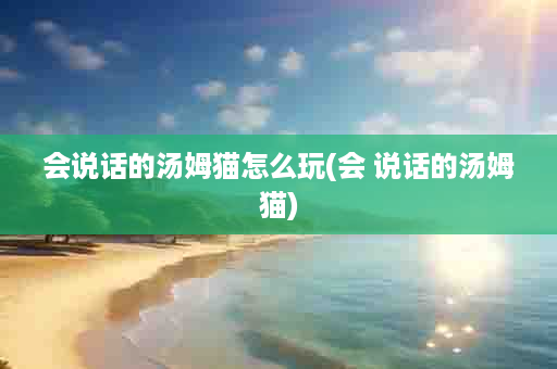 会说话的汤姆猫怎么玩(会 说话的汤姆猫)