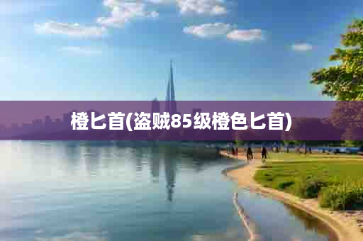 橙匕首(盗贼85级橙色匕首)