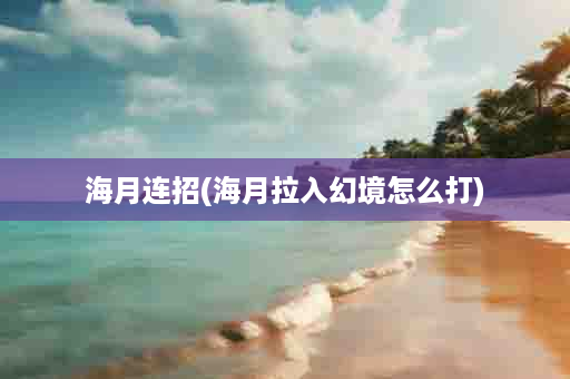 海月连招(海月拉入幻境怎么打)