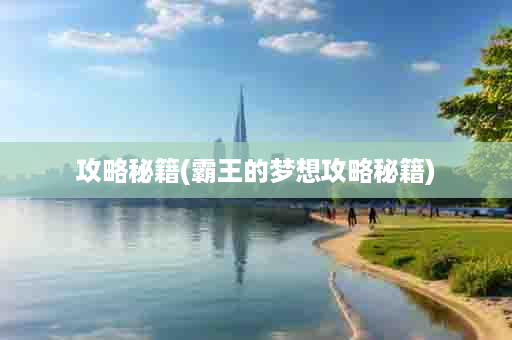 攻略秘籍(霸王的梦想攻略秘籍)