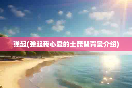 弹起(弹起我心爱的土琵琶背景介绍)