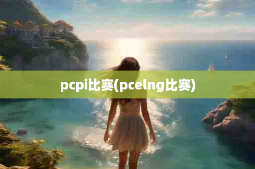 pcpi比赛(pcelng比赛)