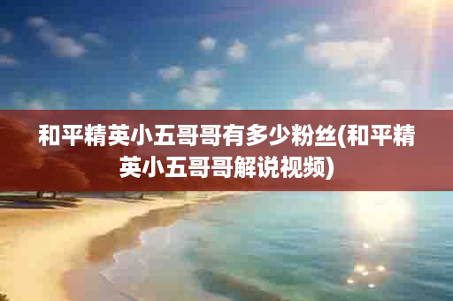 和平精英小五哥哥有多少粉丝(和平精英小五哥哥解说视频)