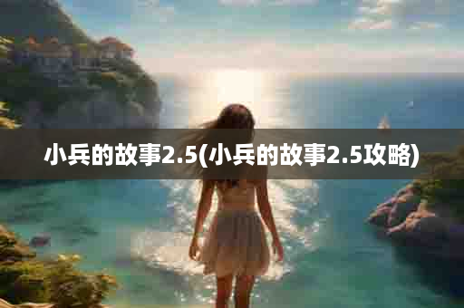 小兵的故事2.5(小兵的故事2.5攻略)
