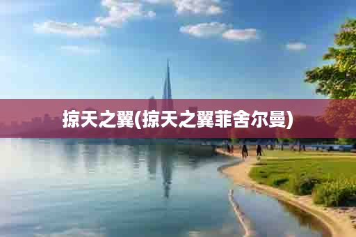 掠天之翼(掠天之翼菲舍尔曼)