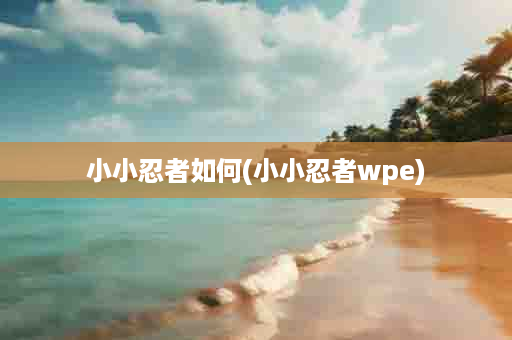 小小忍者如何(小小忍者wpe)