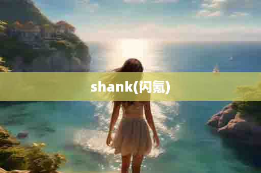 shank(闪氪)