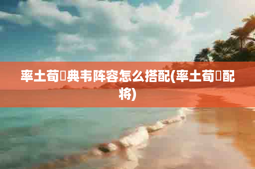 率土荀彧典韦阵容怎么搭配(率土荀彧配将)