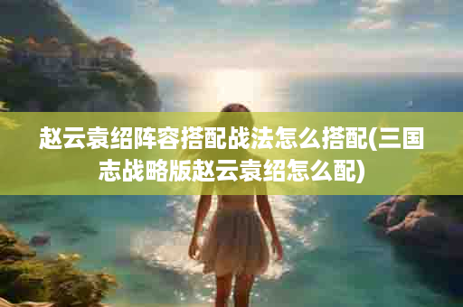 赵云袁绍阵容搭配战法怎么搭配(三国志战略版赵云袁绍怎么配)