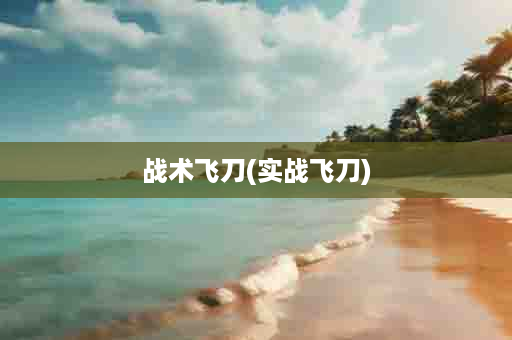 战术飞刀(实战飞刀)