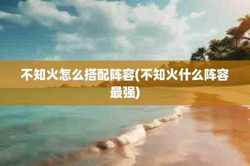 不知火怎么搭配阵容(不知火什么阵容最强)